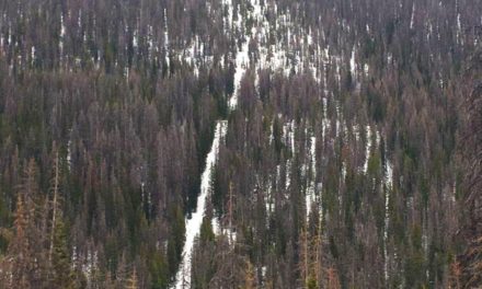 Upper Ark district secures funding for Monarch Pass project