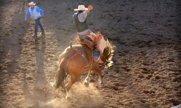 Collegiate Peaks Stampede Rodeo back for 98th consecutive year