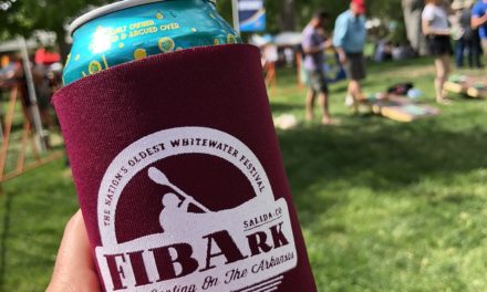 A Version of 2020 FIBArk to Kick-off August 6