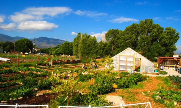 Gardens in the Fight Against Climate Change