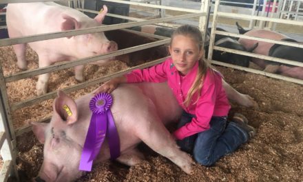 Chaffee County Fair, high-quality 4-H showing fosters ‘irreplaceable memories’