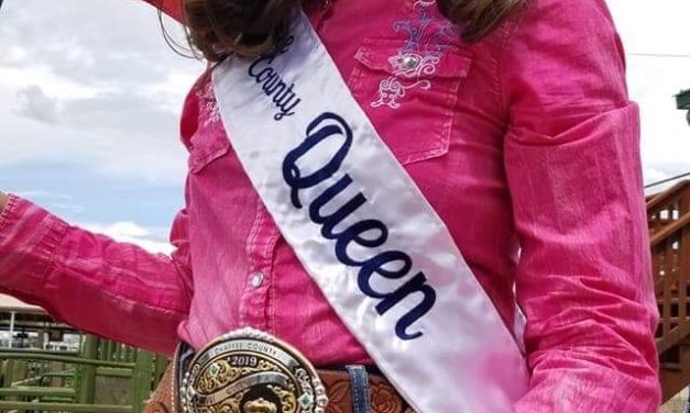 Steer riding, rodeo royalty coronation highlight county fair