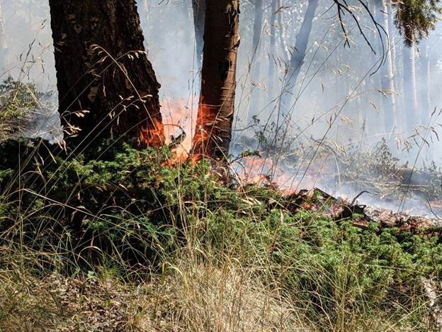 Fire in San Luis Valley visible in Chaffee County