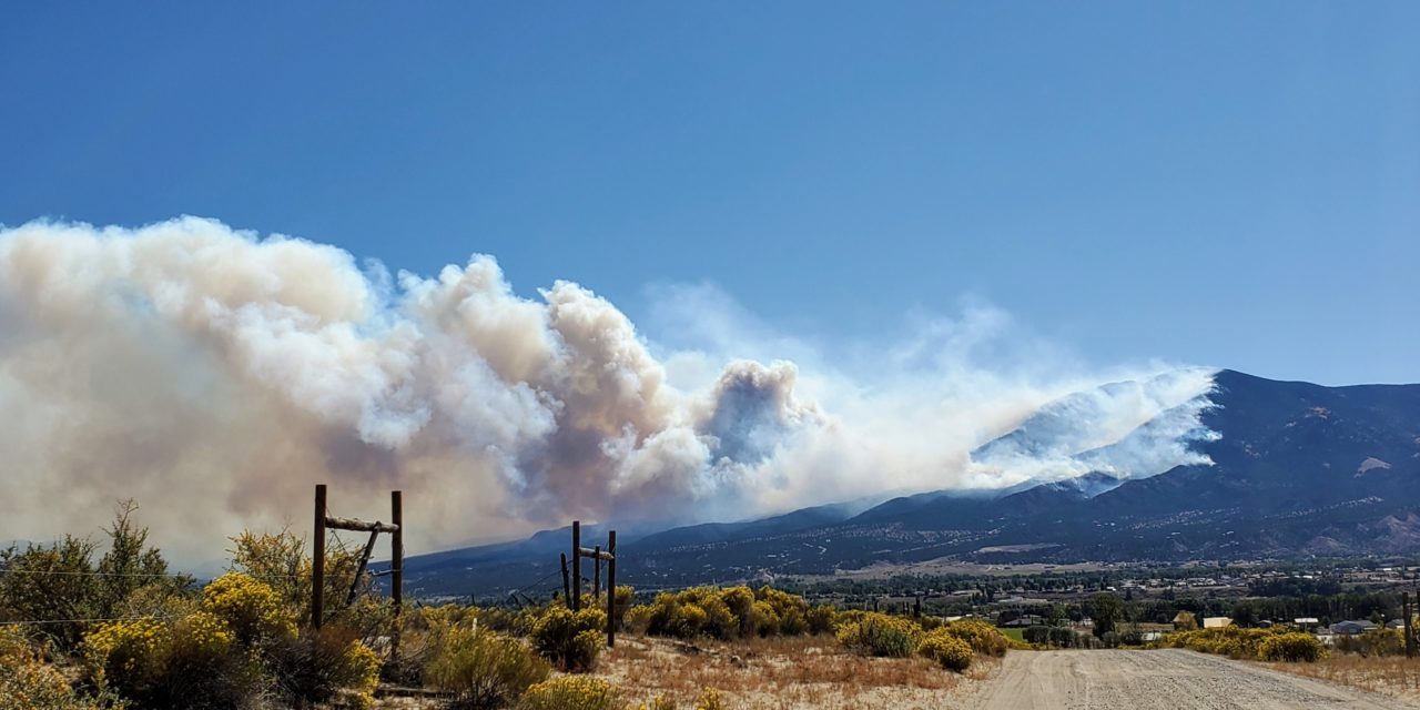 Strong Chaffee County tax collections could help shorten wildfire prevention project timelines