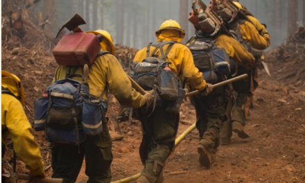 Governor Calls Colorado Wildfire Risk “Year-around”