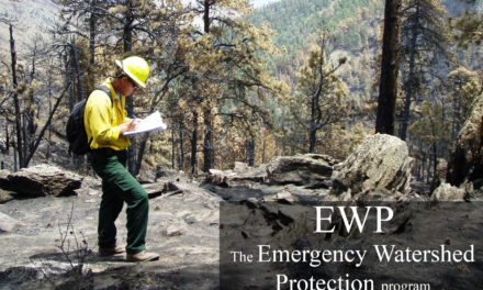 Bennet, Romney join forces to request review of USDA Emergency Watershed Protection Program