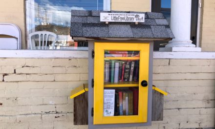 New chapter for Little Free Libraries, But Hopefully No Sad Ending