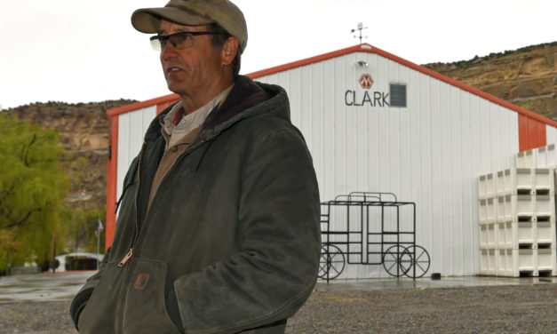 COVID Diaries Colorado: Frost, Peaches and Clark Family Farm Survival