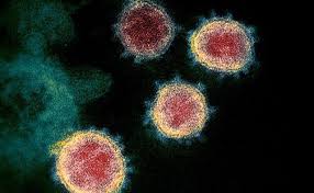 White House document shows 18 states in coronavirus “red zone”