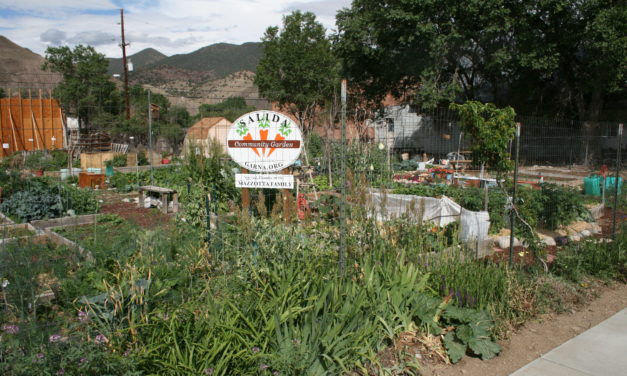 Spring is here, Community Garden Plots Now Available