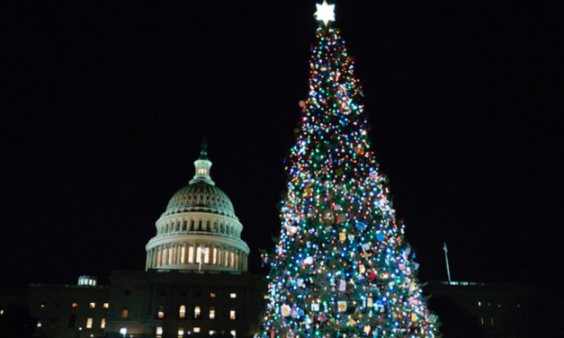 Capitol Christmas Tree to Make A Salida Stop on Friday, November 13