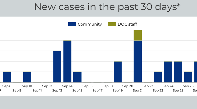 Chaffee County COVID-19 Cases Increase by Three This Week