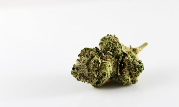 2020 Ballot Question: Buena Vista makes a second swing with voters on retail recreational marijuana