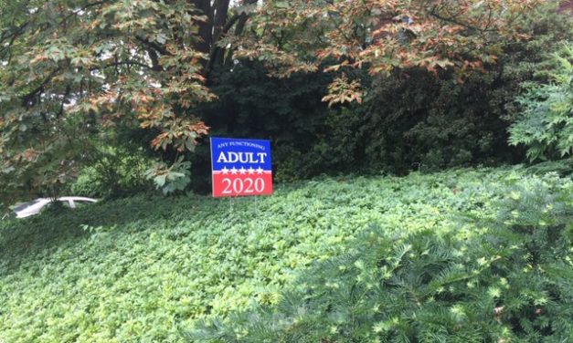 The Political Season is over, Time for Signs to Come Down
