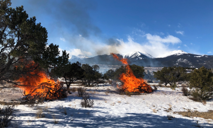 BLM Concludes Multi-Year Fuels Reduction Projects in Chaffee County, designed to lower wildfire risk