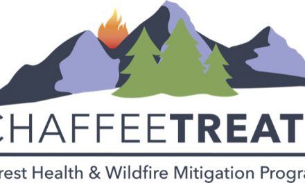 Local wildfire mitigation gets a $192K boost from American Forest Foundation