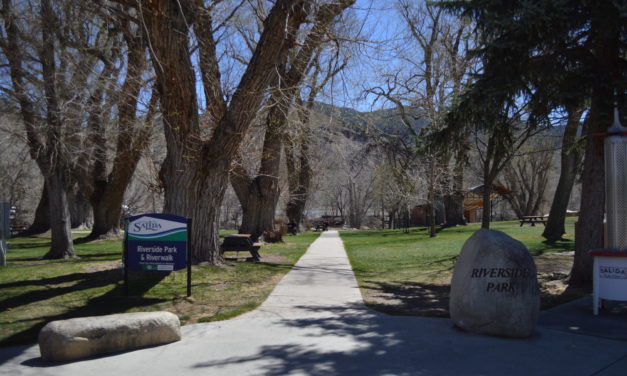 The Salida Park Tree Plan is Critical for Protection of the Salida Canopy