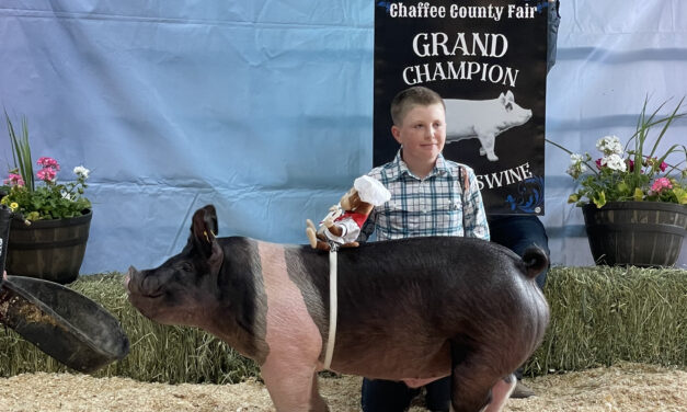 The 2021 Chaffee County Fair in Photographs