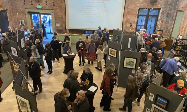 Valley Vision Art Exhibition has Another Successful Year