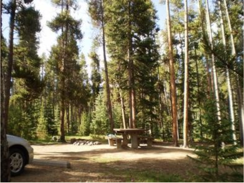 Salida, Leadville Ranger Districts seeking input on dispersed camping management