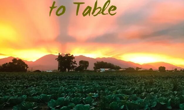 It’s Farm to Table Harvest Time