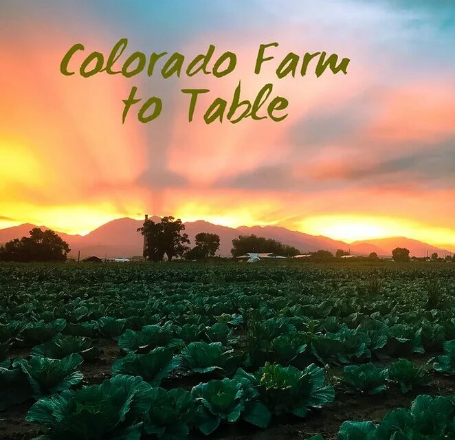 Annual  Gleaning Day at Colorado Farm To Table