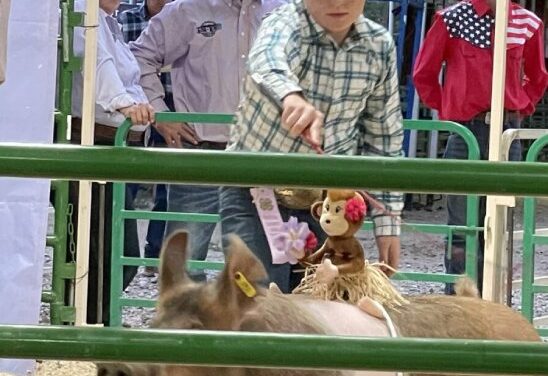 Chaffee County Fair Starts Today, Moves on to CPRA Rodeo and Live Music