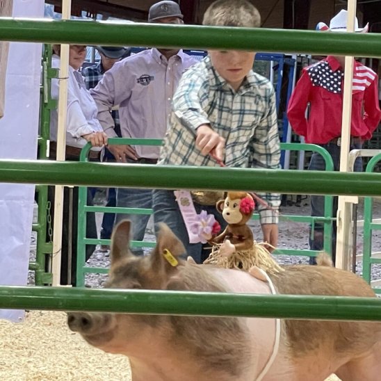 Chaffee County Fair Starts Today, Moves on to CPRA Rodeo and Live Music