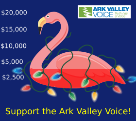 Support AVV with a donation