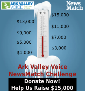 AVV Newsmatch Donate