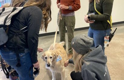 Therapy Dogs Help Students Taking Their Semester Finals