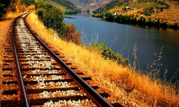 D.C. Circuit Court Decision Overrules STB Approval of Uinta Basin Railway