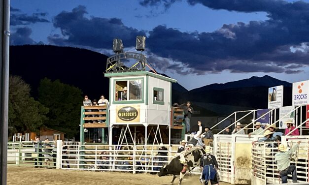 Zebras, Bandits, Queens and Bulls at a Record-Breaking Chaffee County Fair