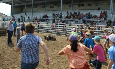 Dust Flies at the 2023 Chaffee County Fair Catch a Pig Contest