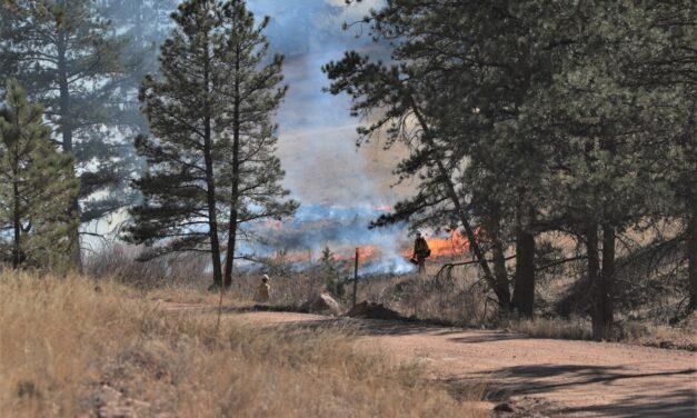 BLM Royal Gorge Office Planning Annual Prescribed Burns