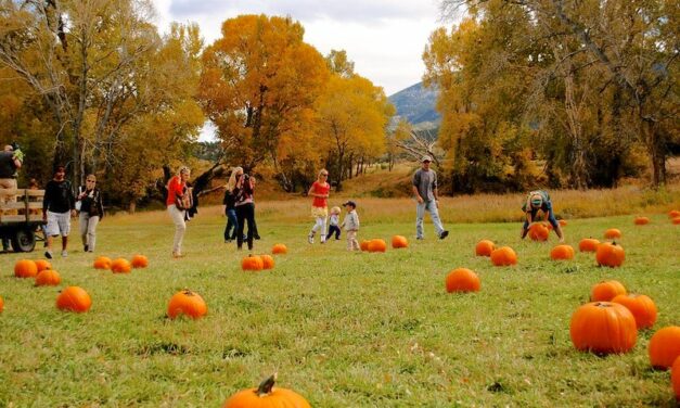Guidestone Colorado Announces 17th Annual Pumpkin Patch & Harvest Festival