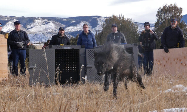 CPW Presentation to Chaffee Patriots on Colorado Wolf Reintroduction