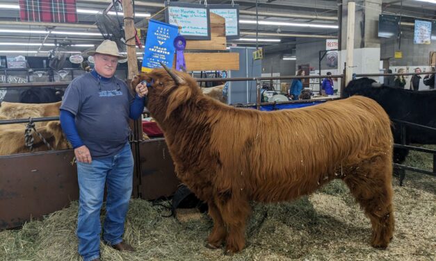 Local named “Ranger” Named Grand Champion at National Western Stock Show