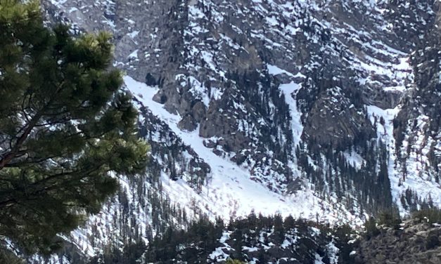 Three avalanches on/near Chaffee County Roads in the Past Week