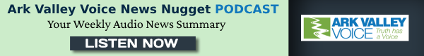 AVV News Nugget Podcast